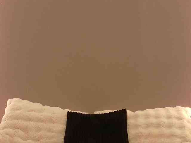 Anaayss webcam