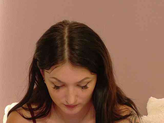 Modelo: Anaayss