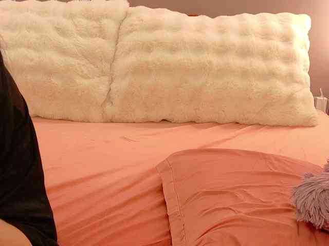 Anaayss webcam