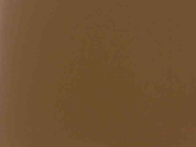 Anaayss webcam