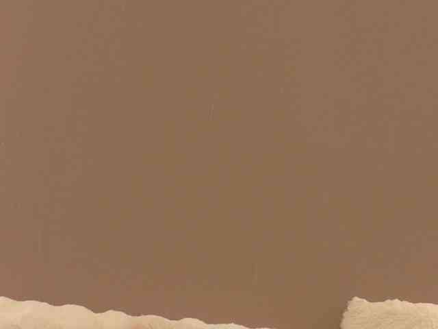 Anaayss webcam