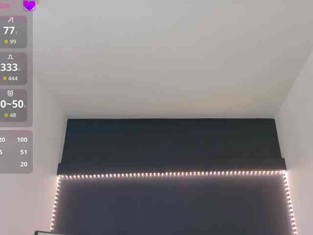 Anaayss webcam