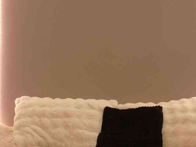 Anaayss webcam