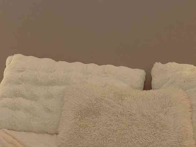 Anaayss webcam