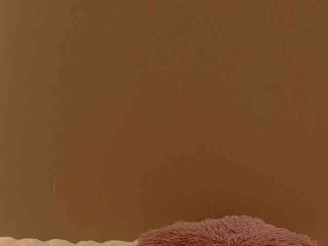 Anaayss webcam