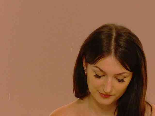 Modelo: Anaayss