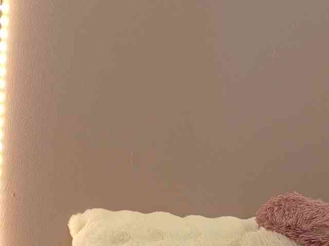 Anaayss webcam