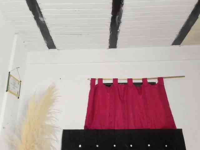 alexakushh webcam