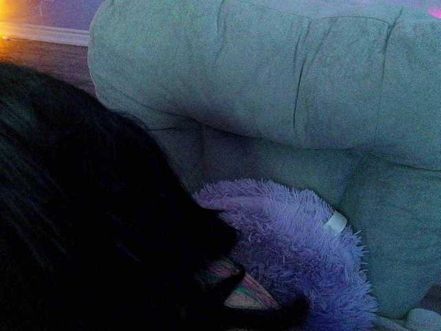 Bellastarrr84 live cam on BongaCams