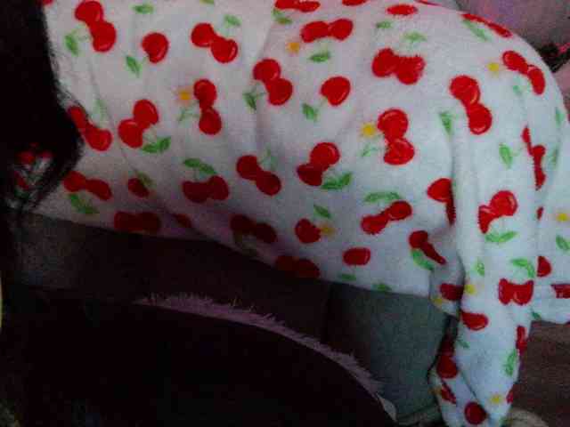 Bellastarrr84