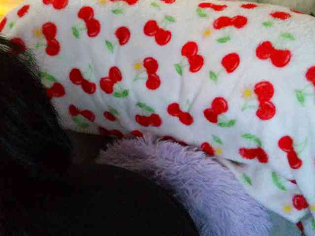 Bellastarrr84