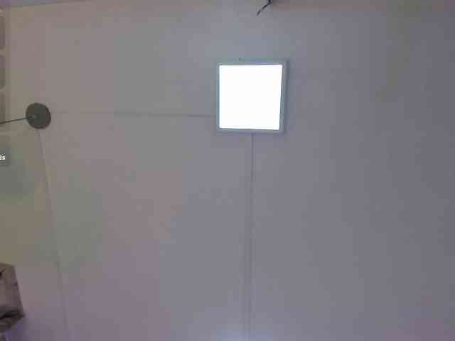 charlottesweet webcam