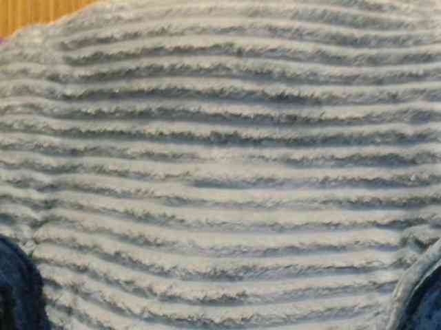 Yvete webcam