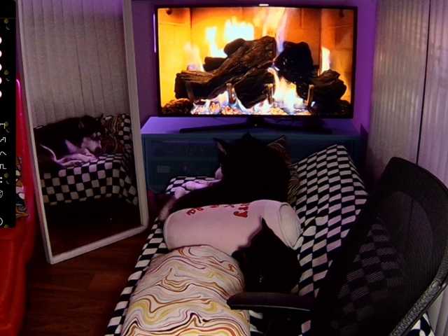 GremNysse live cam on BongaCams