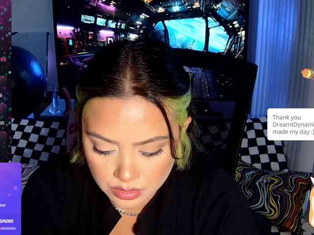 GremIRL webcam