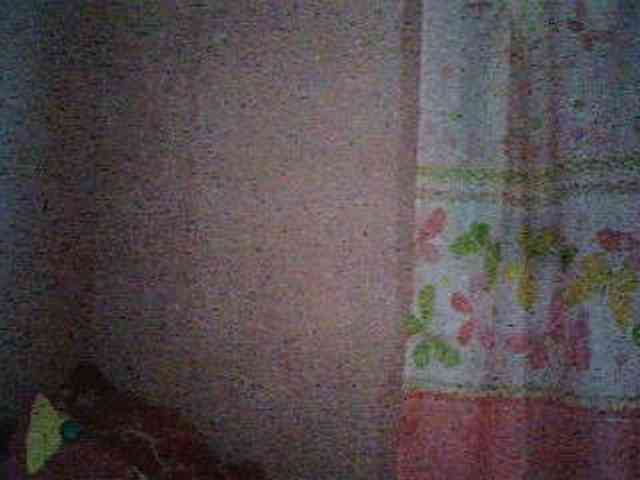anne198813 webcam