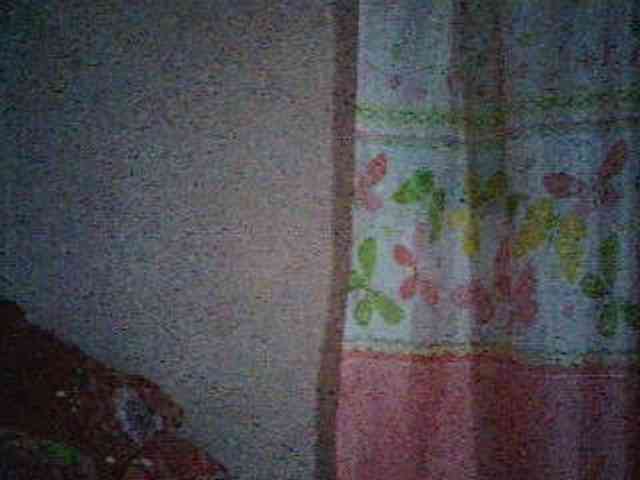 anne198813 webcam