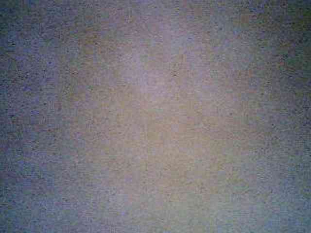 anne198813 webcam
