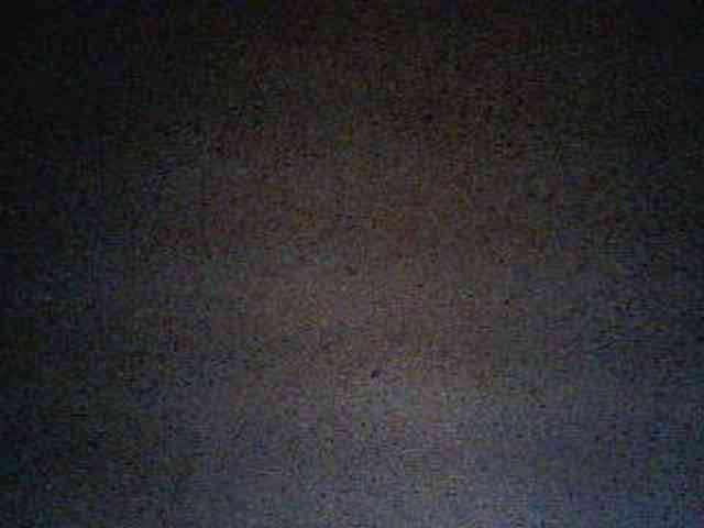 anne198813 webcam