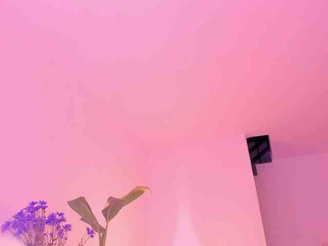 Mandywester webcam