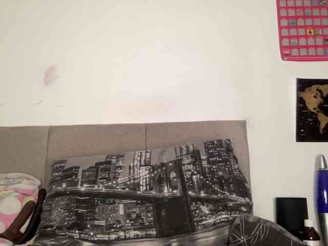 dixmondzs webcam