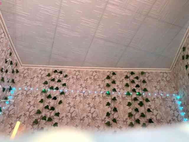 KimikoChandronnait webcam