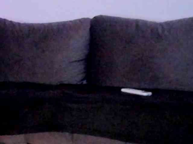 CindyTail webcam