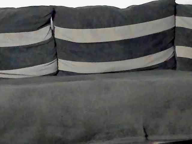 CindyTail webcam