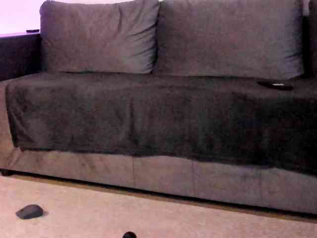 CindyTail webcam