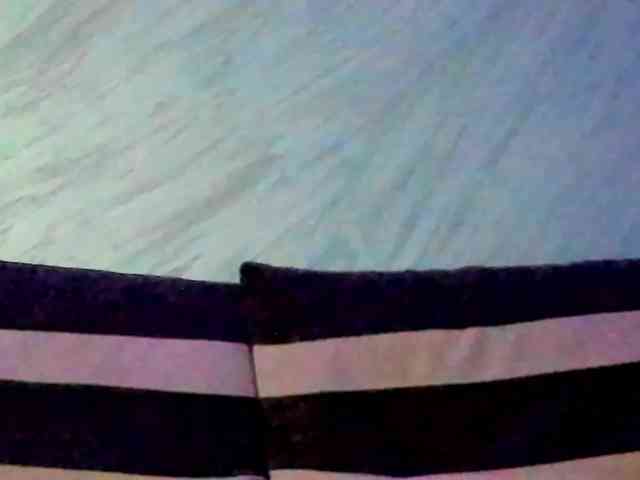CindyTail webcam