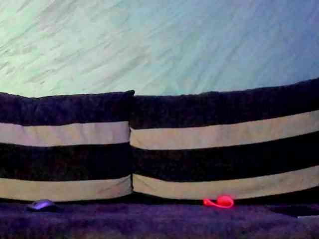 CindyTail webcam