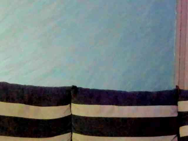 CindyTail webcam