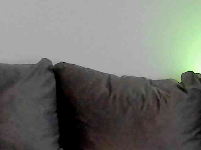CindyTail webcam