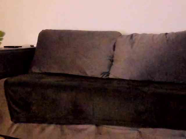CindyTail webcam