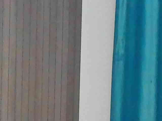 CindyTail webcam