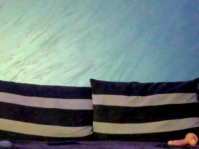 CindyTail webcam