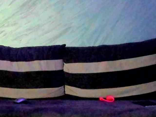 CindyTail webcam