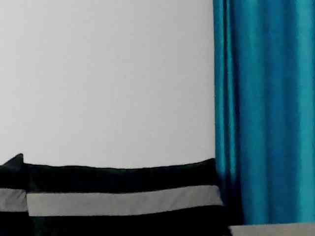 CindyTail webcam