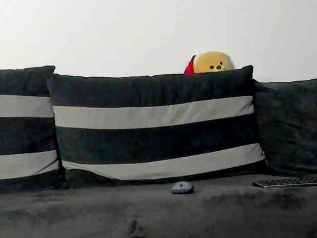 CindyTail webcam