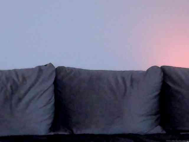 CindyTail webcam