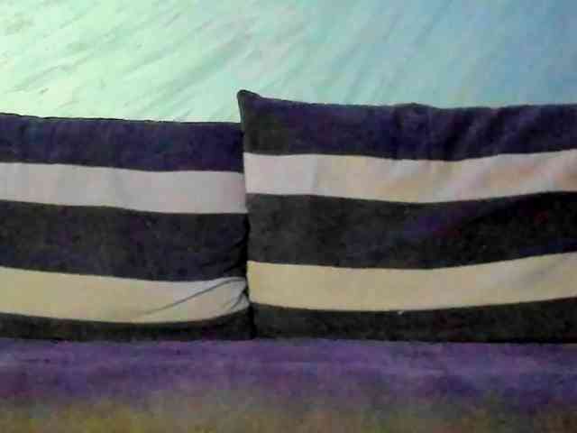 CindyTail webcam