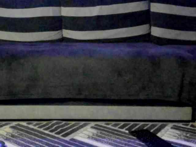 CindyTail webcam