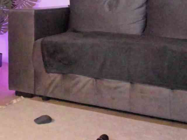 CindyTail webcam