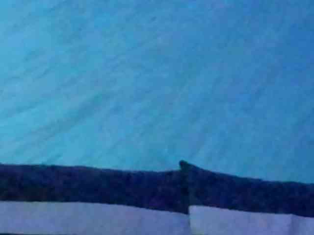 CindyTail webcam
