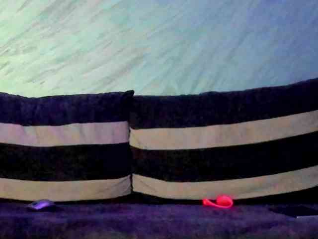 CindyTail webcam