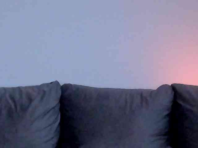 CindyTail webcam