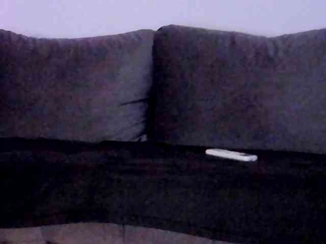 CindyTail webcam