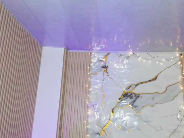 Preview of siena-tay