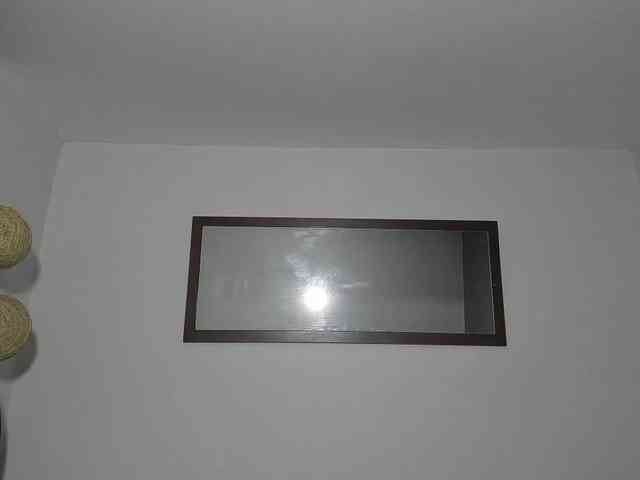 AliceC4t01 webcam