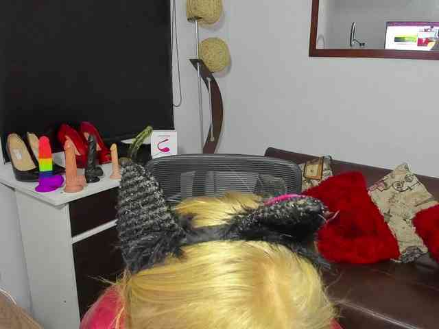 AliceC4t01 webcam